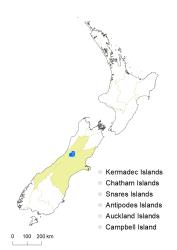 Veronica cheesemanii subsp. flabellata distribution map based on databased records at AK, CHR & WELT.
 Image: K.Boardman © Landcare Research 2022 CC-BY 4.0
